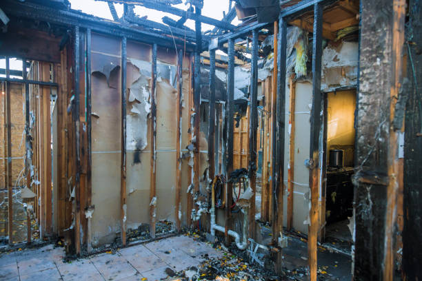 Professional Emergency Fire Cleanup technician working in Pine Hills, CA